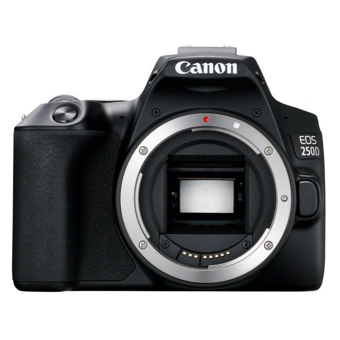 Canon 250D + EF-S /3.5-5.6 STM